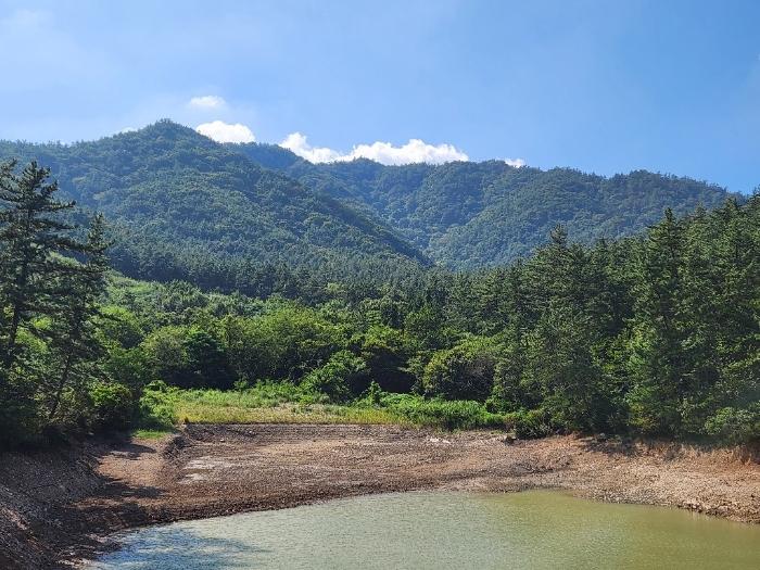 전라남도 장흥군 용산면 어산리 530 답 경매 사진 1