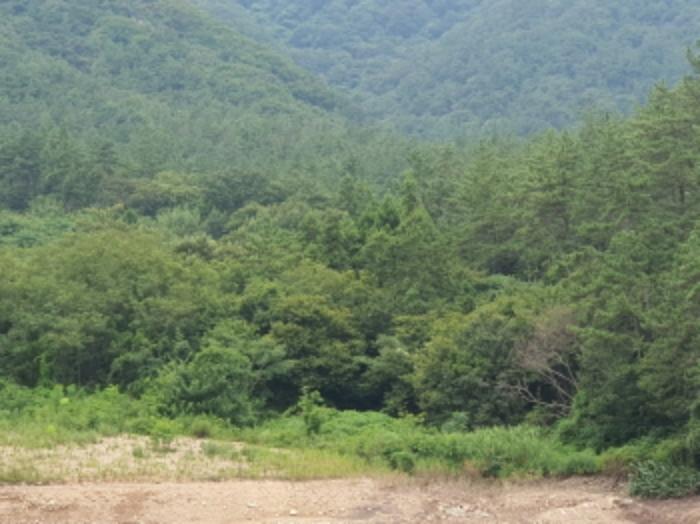 전라남도 장흥군 용산면 어산리 530 답 경매 사진 6