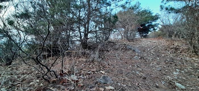 전라남도 여수시 중흥동 산172 임야 경매 사진 3