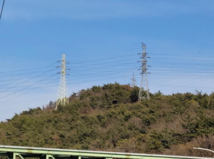 전라남도 여수시 중흥동 산172 임야 경매 사진 5