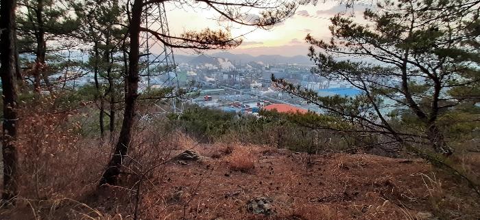 전라남도 여수시 중흥동 산172 임야 경매 사진 6