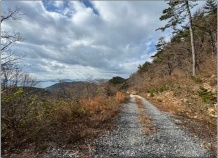 전라남도 여수시 돌산읍 금봉리 산56 임야 경매 사진 2