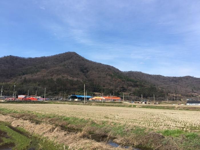 전라남도 진도군 고군면 향동리 316 주택 경매 사진 26