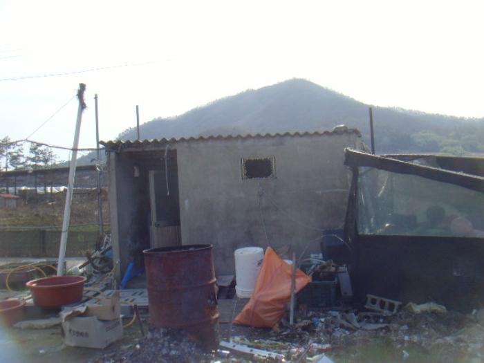 전라남도 진도군 고군면 향동리 316 주택 경매 사진 58