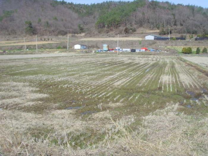 전라남도 진도군 고군면 향동리 316 주택 경매 사진 60