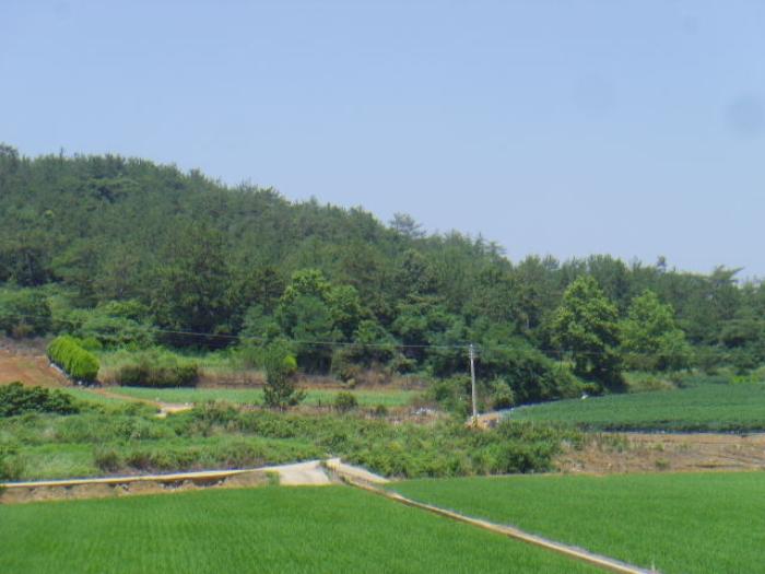 전라남도 해남군 문내면 학동리 산16-4 임야 경매 사진 5