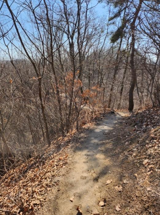 충청북도 제천시 봉양읍 장평리 653 답 경매 사진 18
