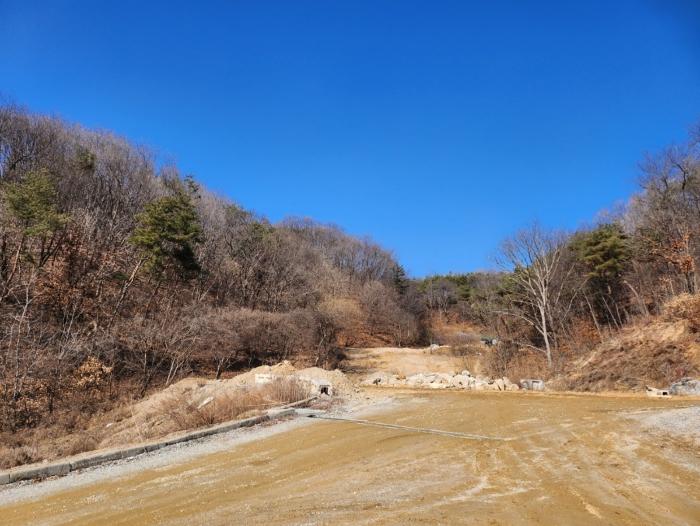 충청북도 제천시 봉양읍 장평리 653 답 경매 사진 2