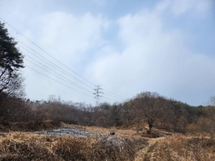 충청북도 제천시 봉양읍 장평리 653 답 경매 사진 24