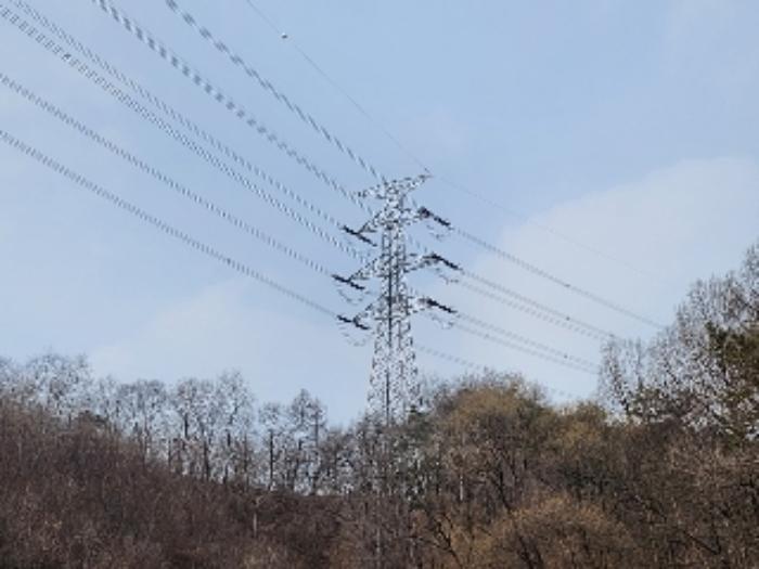 충청북도 제천시 봉양읍 장평리 653 답 경매 사진 25