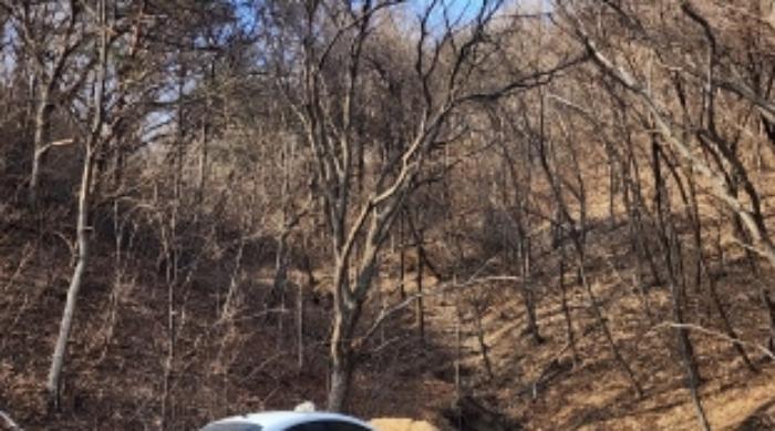 충청북도 제천시 봉양읍 장평리 653 답 경매 사진 27