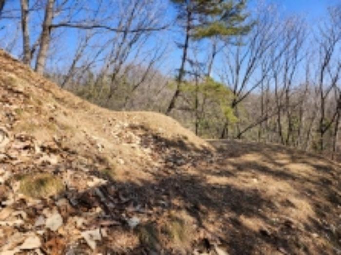 충청북도 제천시 봉양읍 장평리 653 답 경매 사진 45