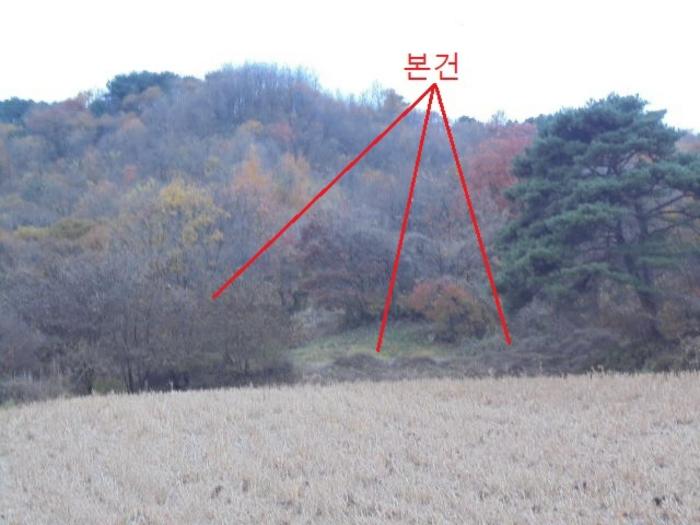 충청북도 제천시 백운면 원월리 254 전 경매 사진 2