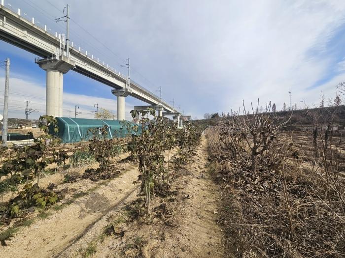 충청북도 제천시 고명동 697-3 답 경매 사진 1