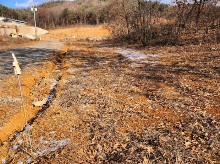 충청북도 제천시 청풍면 도곡리 산33 임야 경매 사진 22