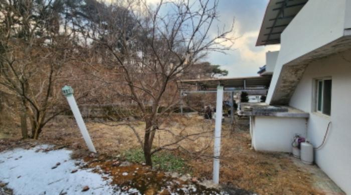 충청북도 제천시 청풍면 도곡리 산33 임야 경매 사진 27