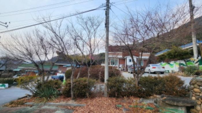 충청북도 제천시 청풍면 도곡리 산33 임야 경매 사진 30