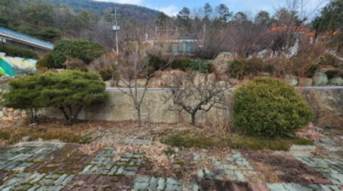 충청북도 제천시 청풍면 도곡리 산33 임야 경매 사진 31