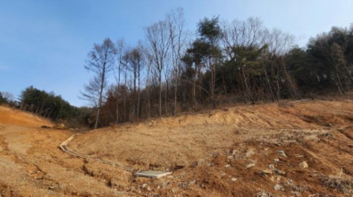 충청북도 제천시 청풍면 도곡리 산33 임야 경매 사진 40