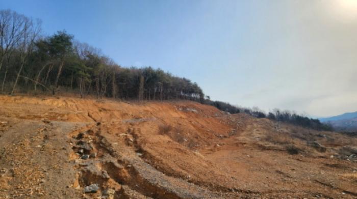 충청북도 제천시 청풍면 도곡리 산33 임야 경매 사진 41