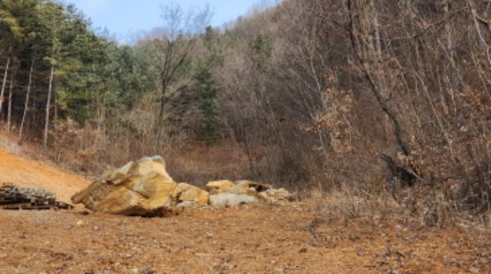 충청북도 제천시 청풍면 도곡리 산33 임야 경매 사진 45