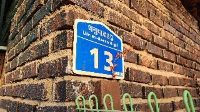 충청북도 제천시 화산동 191-97 도로 경매 사진 4