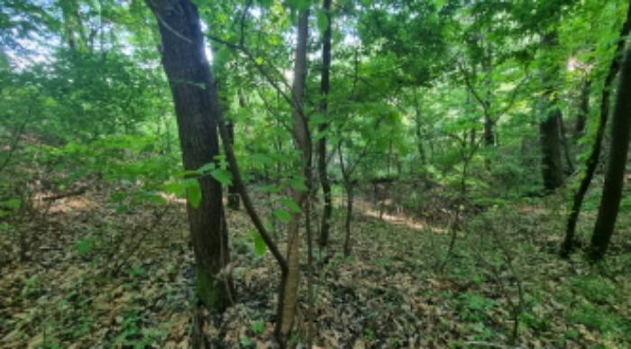 경기도 가평군 북면 이곡리 573 전 경매 사진 6
