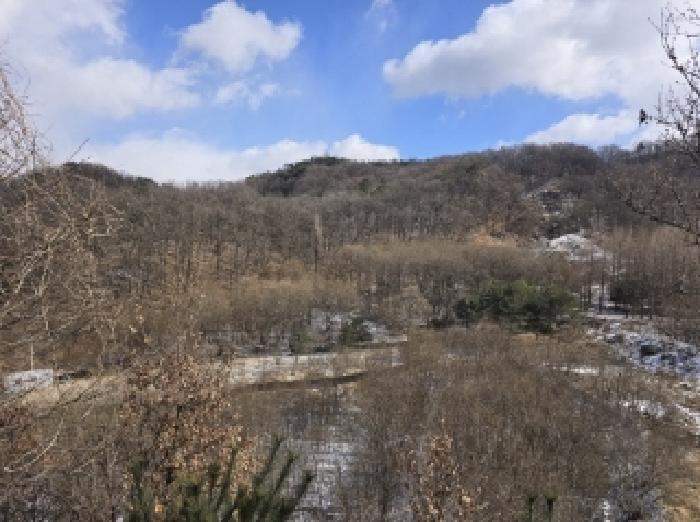 충청북도 청주시 서원구 남이면 수대리 산20 임야 경매 사진 4