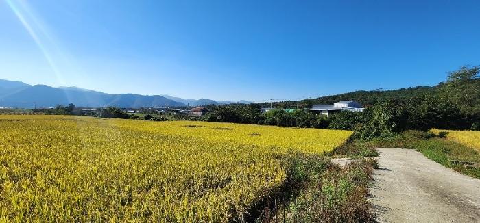 경상북도 경주시 안강읍 옥산리 1614 전 경매 사진 8