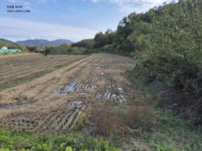 경상북도 경주시 안강읍 옥산리 1620 전 경매 사진 10