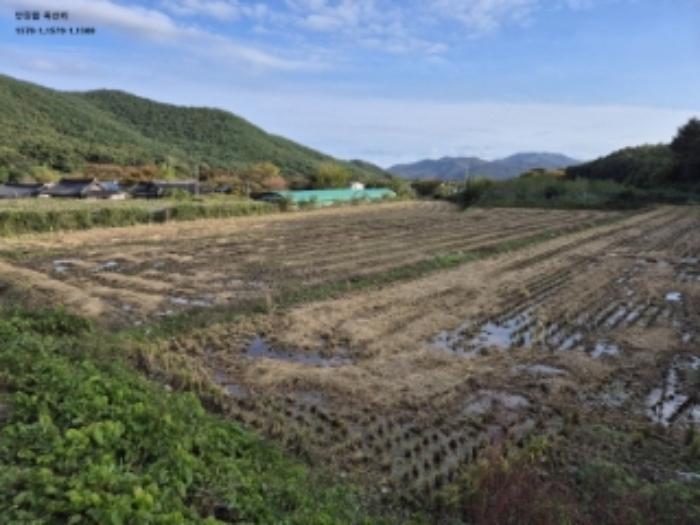 경상북도 경주시 안강읍 옥산리 1620 전 경매 사진 11