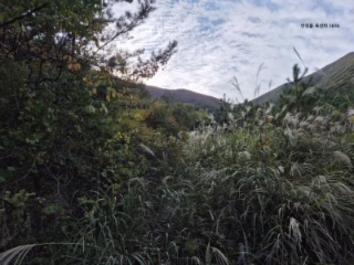 경상북도 경주시 안강읍 옥산리 1620 전 경매 사진 13