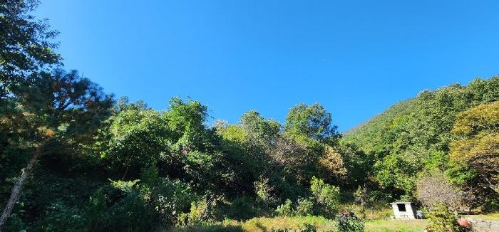 경상북도 경주시 안강읍 옥산리 1620 전 경매 사진 6