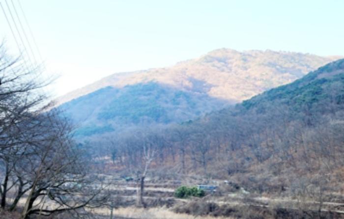 대구광역시 달성군 가창면 오리 산229 임야 경매 사진 2