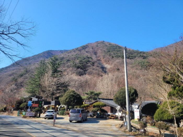 대구광역시 달성군 가창면 오리 산229 임야 경매 사진 5