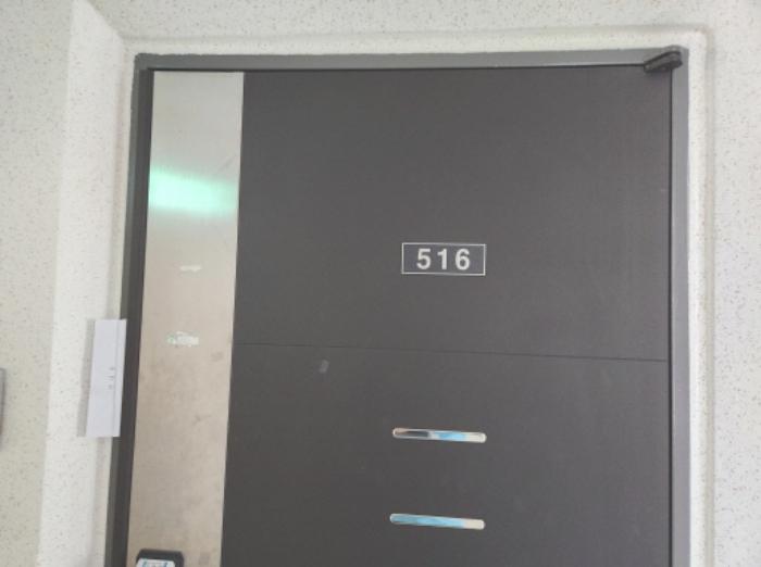 세종특별자치시 한누리대로 194, 5층516호 (나성동,더리치세종의아침)구) 세종특별자치시 나성동 775 도시형생활주택 경매 사진 10