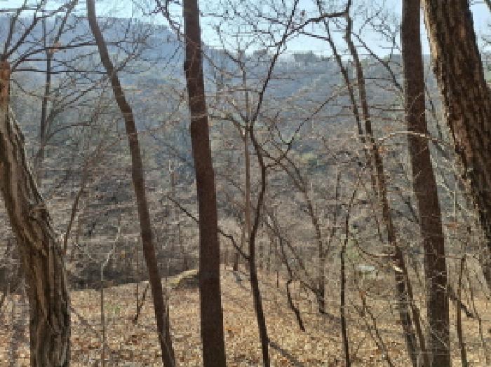 대전광역시 동구 장척동 36 주택 경매 사진 14