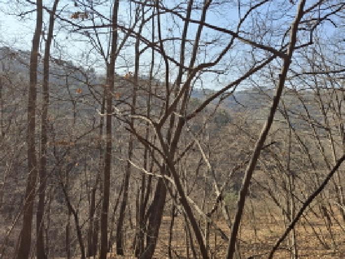 대전광역시 동구 장척동 36 주택 경매 사진 16