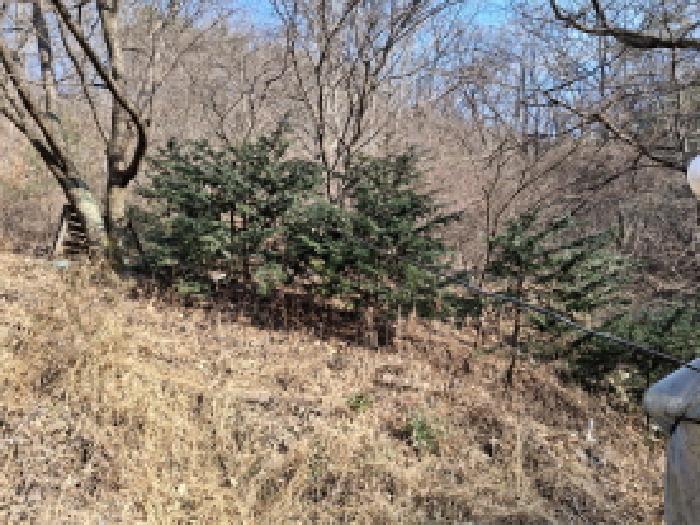 대전광역시 동구 장척동 36 주택 경매 사진 22