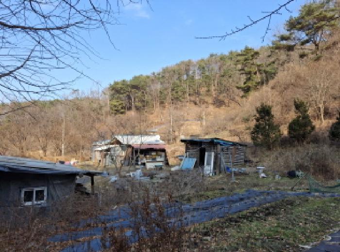 대전광역시 동구 장척동 36 주택 경매 사진 30
