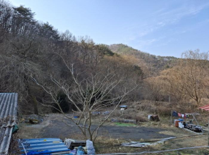 대전광역시 동구 장척동 36 주택 경매 사진 45