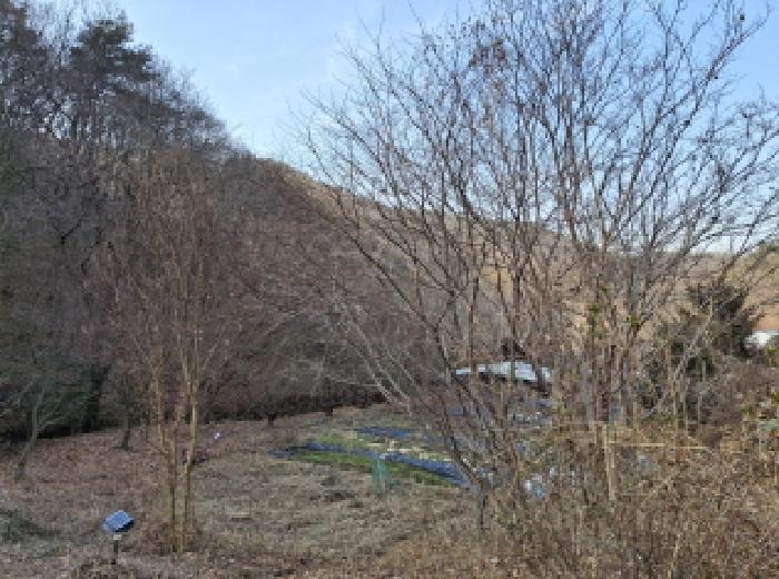 대전광역시 동구 장척동 36 주택 경매 사진 8