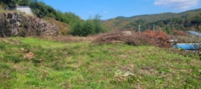 경상북도 청도군 이서면 대곡리 산148-1 임야 경매 사진 12