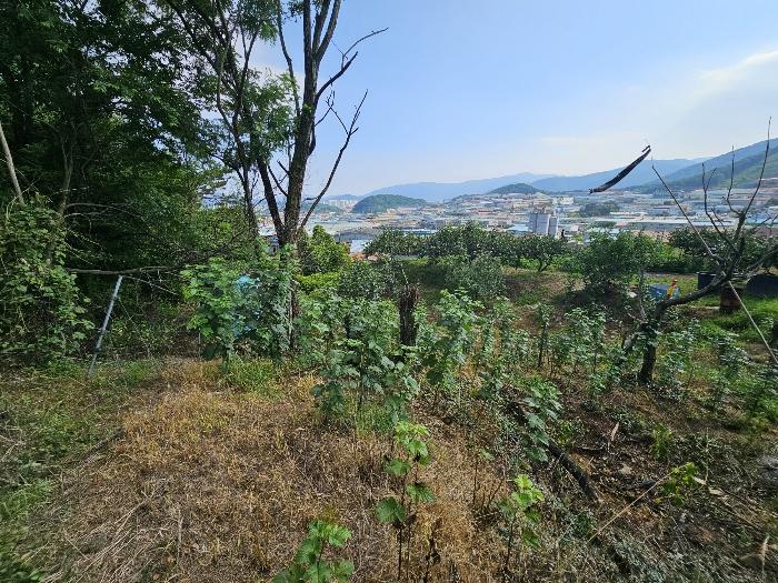 경상남도 김해시 주촌면 내삼리 521 전 경매 사진 1