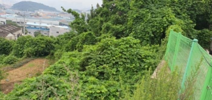 경상남도 김해시 주촌면 내삼리 521 전 경매 사진 11