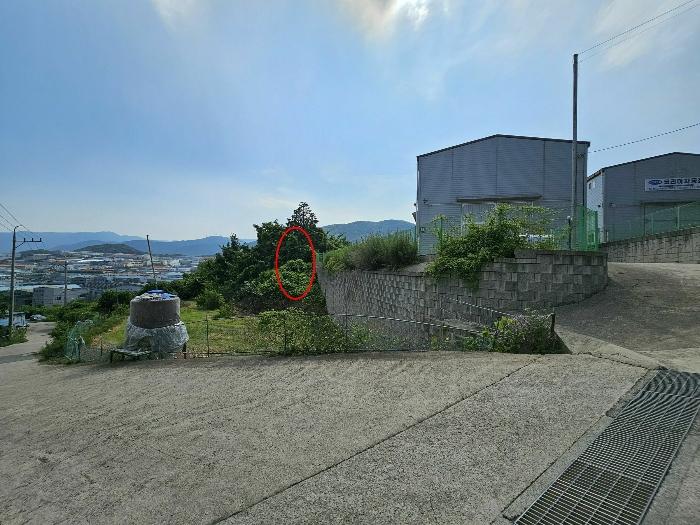 경상남도 김해시 주촌면 내삼리 521 전 경매 사진 2