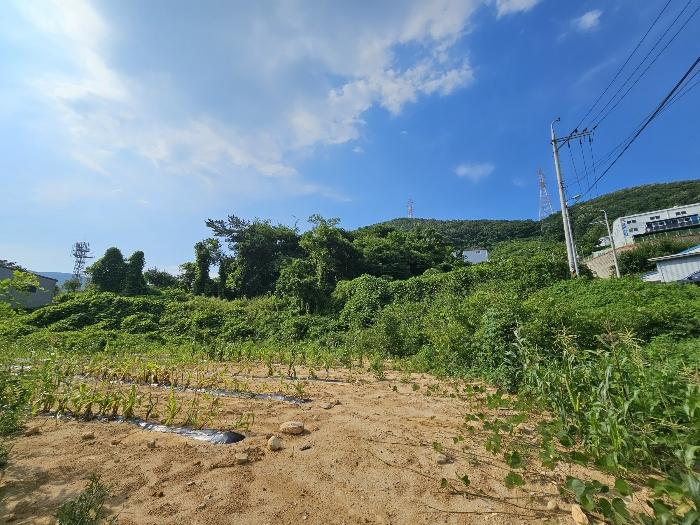 경상남도 김해시 주촌면 내삼리 521 전 경매 사진 9
