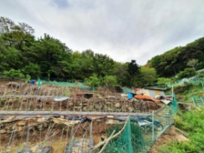 경상남도 창원시 진해구 청안동 223 전 경매 사진 4