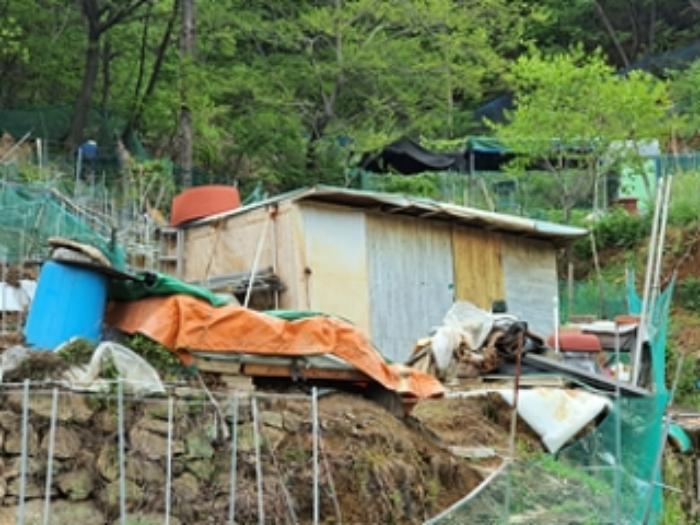 경상남도 창원시 진해구 청안동 223 전 경매 사진 5