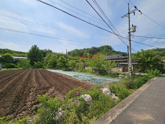 경상남도 함안군 법수면 대송리 1061 대지 경매 사진 2